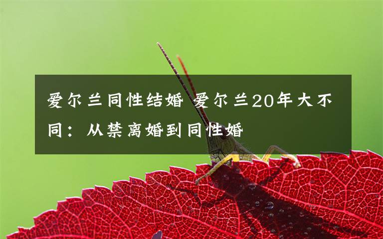爱尔兰同性结婚 爱尔兰20年大不同：从禁离婚到同性婚