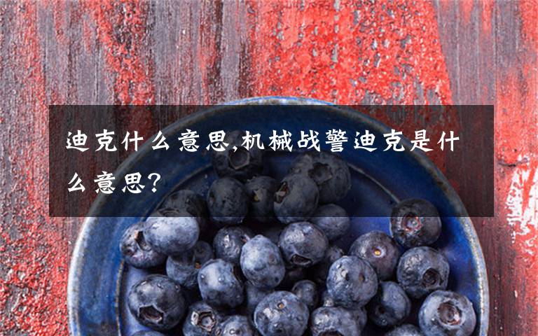 迪克什么意思,机械战警迪克是什么意思？
