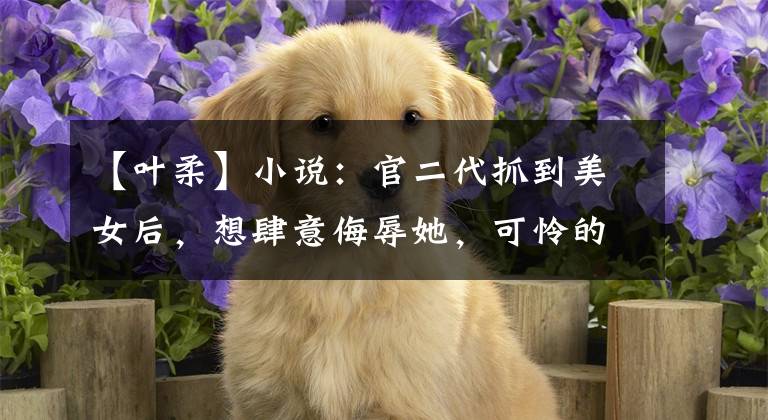 【叶柔】小说：官二代抓到美女后，想肆意侮辱她，可怜的家伙看到了愤怒：放开她。