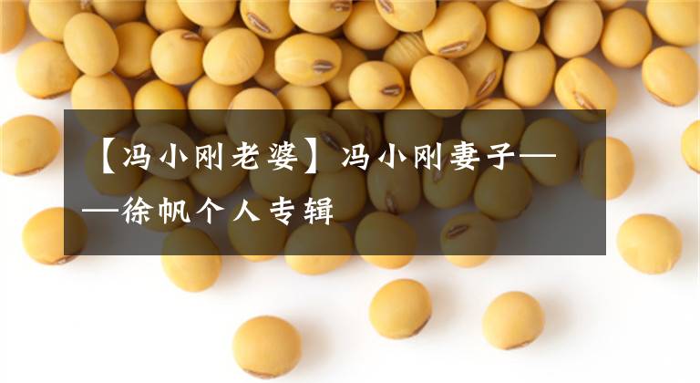 【冯小刚老婆】冯小刚妻子——徐帆个人专辑