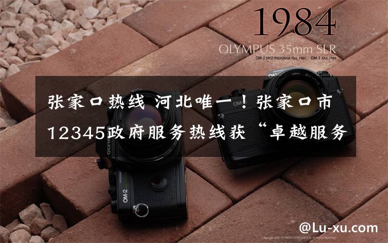张家口热线 河北唯一！张家口市12345政府服务热线获“卓越服务创新”奖