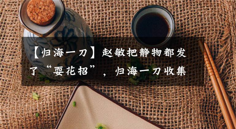 【归海一刀】赵敏把静物都发了“耍花招”，归海一刀收集了一盒女人头饰
