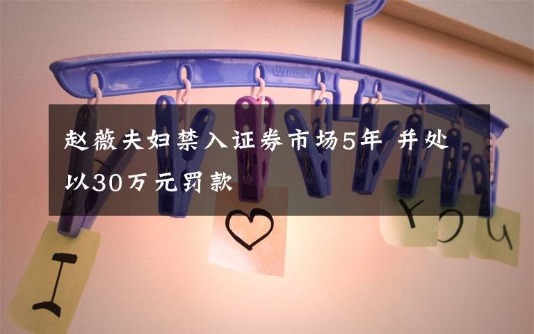 赵薇夫妇禁入证券市场5年 并处以30万元罚款