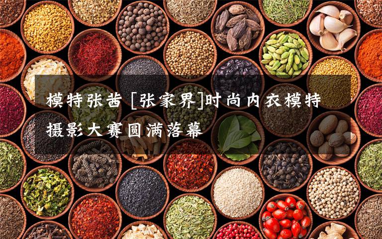 模特张茜 [张家界]时尚内衣模特摄影大赛圆满落幕