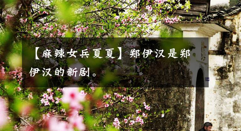 【麻辣女兵夏夏】郑伊汉是郑伊汉的新剧。