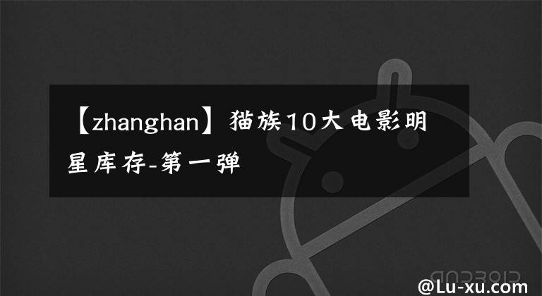 【zhanghan】猫族10大电影明星库存-第一弹