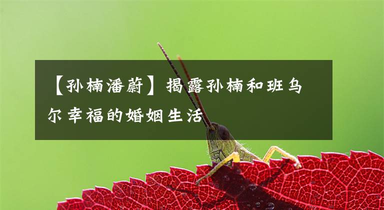 【孙楠潘蔚】揭露孙楠和班乌尔幸福的婚姻生活