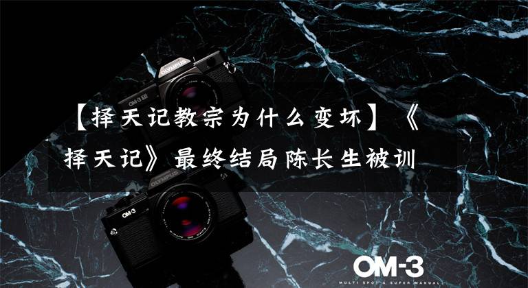 【择天记教宗为什么变坏】《择天记》最终结局陈长生被训练成太宗静血，大boss是教皇