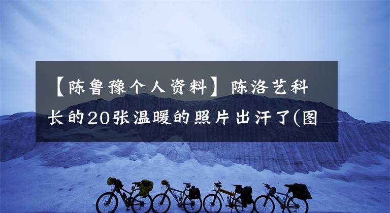 【陈鲁豫个人资料】陈洛艺科长的20张温暖的照片出汗了(图)