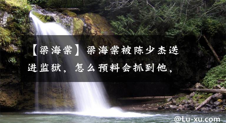 【梁海棠】梁海棠被陈少杰送进监狱，怎么预料会抓到他，但不高兴