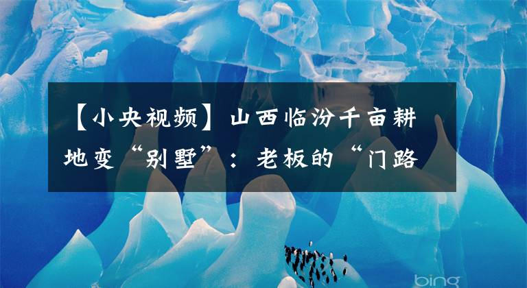 【小央视频】山西临汾千亩耕地变“别墅”：老板的“门路”让有关部门坐视不管