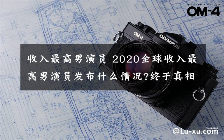 收入最高男演员 2020全球收入最高男演员发布什么情况?终于真相了,原来是这样!