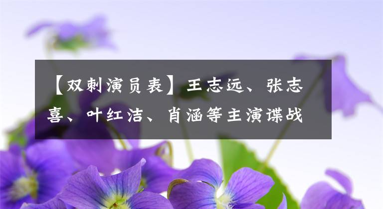 【双刺演员表】王志远、张志喜、叶红洁、肖涵等主演谍战鉴定剧《双刺》