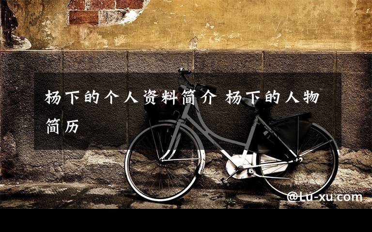 杨下的个人资料简介 杨下的人物简历