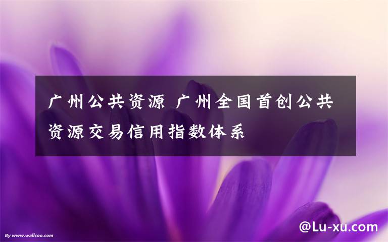 广州公共资源 广州全国首创公共资源交易信用指数体系