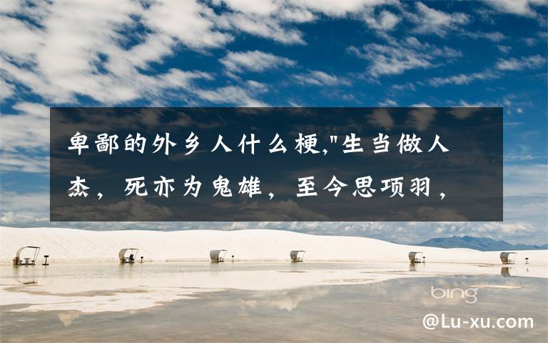 卑鄙的外乡人什么梗,