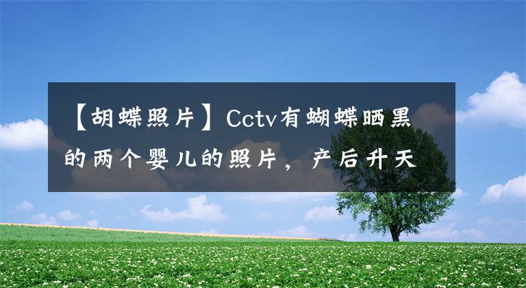 【胡蝶照片】Cctv有蝴蝶晒黑的两个婴儿的照片，产后升天CCTV变化很大，小女儿像陆川一样圆。