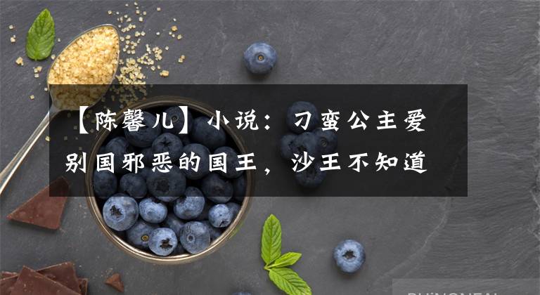 【陈馨儿】小说：刁蛮公主爱别国邪恶的国王，沙王不知道自己已经属于别人，完全不在乎。