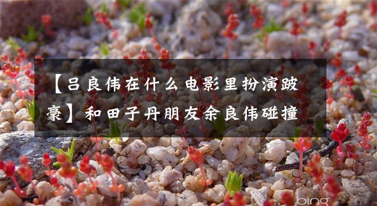 【吕良伟在什么电影里扮演跛豪】和田子丹朋友余良伟碰撞的角色？据说《追龙》有《跛豪》版本