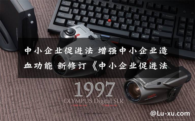 中小企业促进法 增强中小企业造血功能 新修订《中小企业促进法》明年起实施