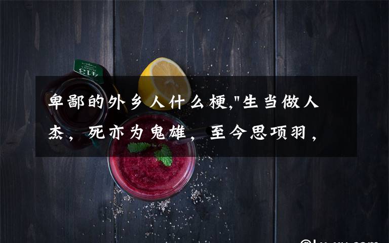 卑鄙的外乡人什么梗,