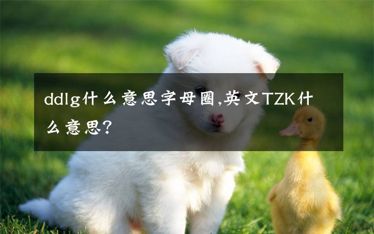 ddlg什么意思字母圈,英文TZK什么意思？