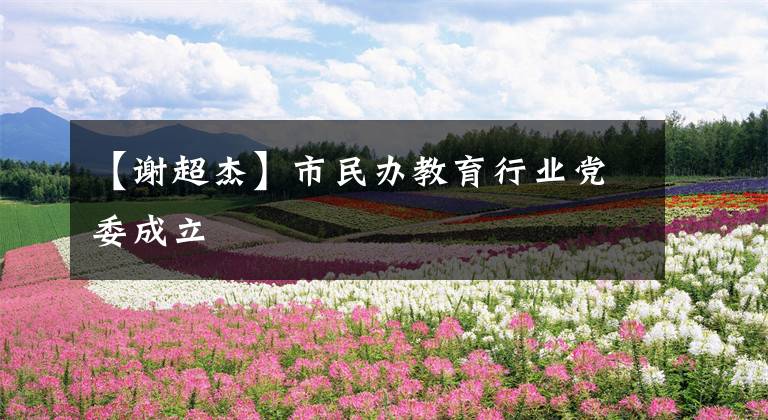 【谢超杰】市民办教育行业党委成立