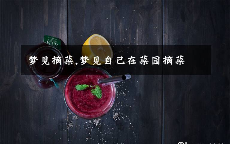 梦见摘菜,梦见自己在菜园摘菜