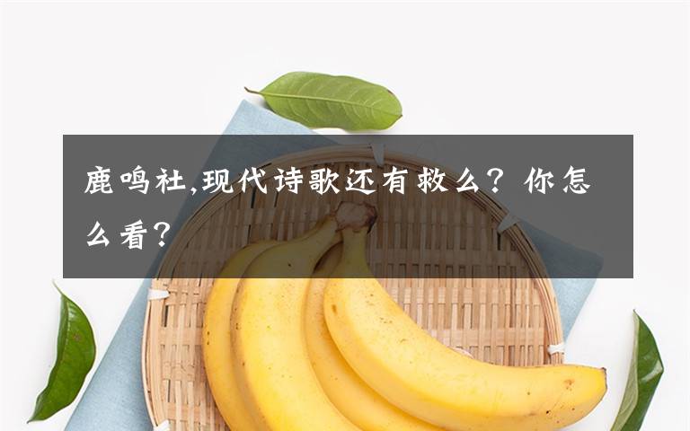 鹿鸣社,现代诗歌还有救么？你怎么看？