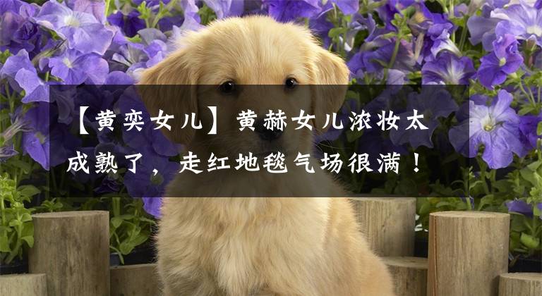 【黄奕女儿】黄赫女儿浓妆太成熟了，走红地毯气场很满！看起来不像黄义清吗？