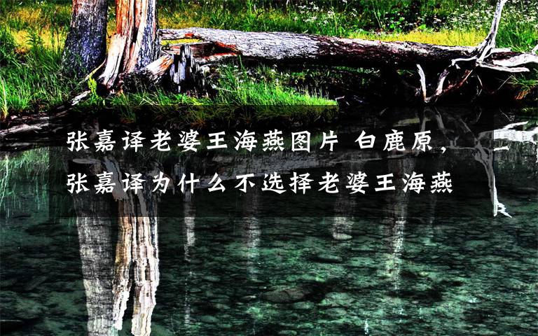 张嘉译老婆王海燕图片 白鹿原，张嘉译为什么不选择老婆王海燕扮演仙草，而是秦海璐