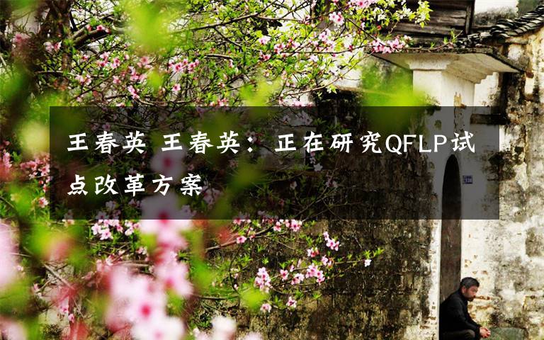 王春英 王春英：正在研究QFLP试点改革方案