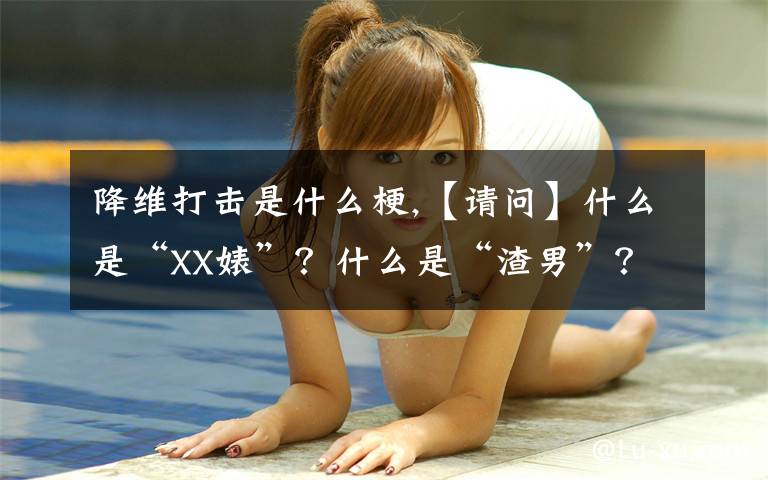 降维打击是什么梗,【请问】什么是“XX婊”？什么是“渣男”？什么是“渣女”？为什么现在西元纪年2019年网上经常出现这些词