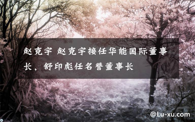 赵克宇 赵克宇接任华能国际董事长，舒印彪任名誉董事长
