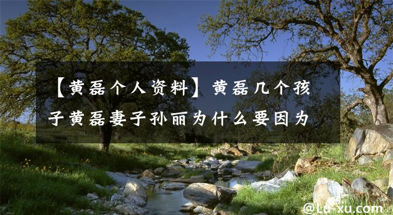 【黄磊个人资料】黄磊几个孩子黄磊妻子孙丽为什么要因为黄磊而生孩子？