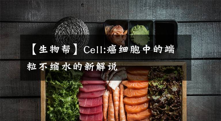 【生物帮】Cell:癌细胞中的端粒不缩水的新解说