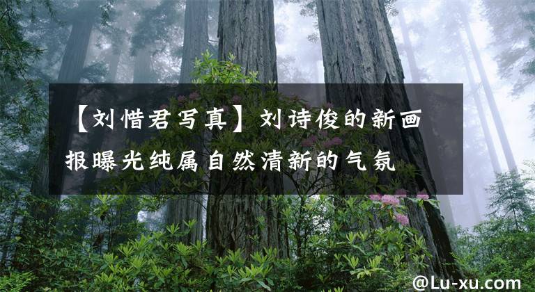 【刘惜君写真】刘诗俊的新画报曝光纯属自然清新的气氛