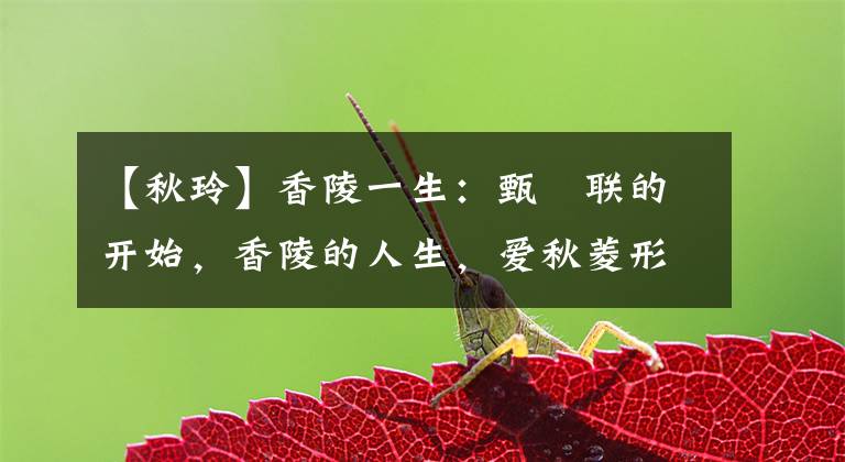 【秋玲】香陵一生：甄嬛联的开始，香陵的人生，爱秋菱形的结局。
