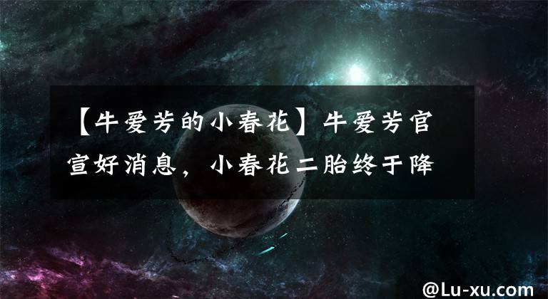 【牛爱芳的小春花】牛爱芳官宣好消息，小春花二胎终于降生，孩子呼吸急促状态不佳