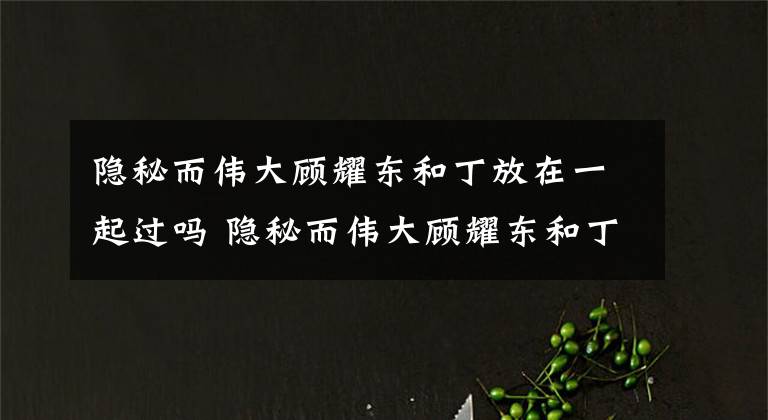 隐秘而伟大顾耀东和丁放在一起过吗 隐秘而伟大顾耀东和丁放在一起过没 隐秘而伟大丁放莫干山