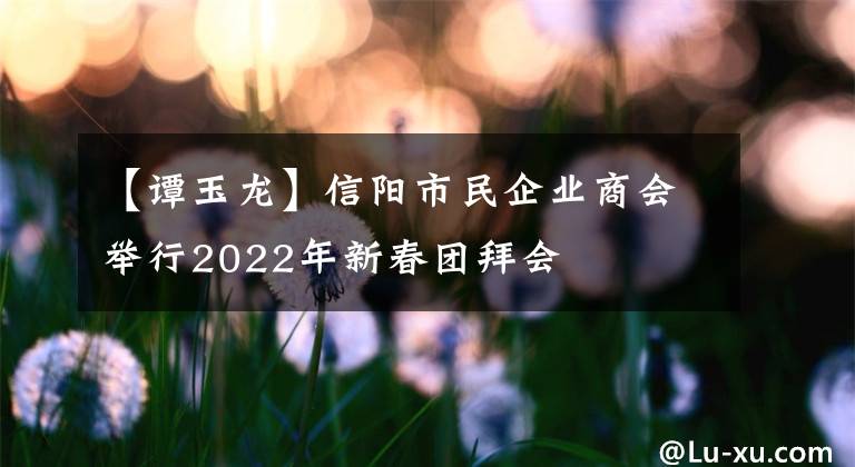 【谭玉龙】信阳市民企业商会举行2022年新春团拜会