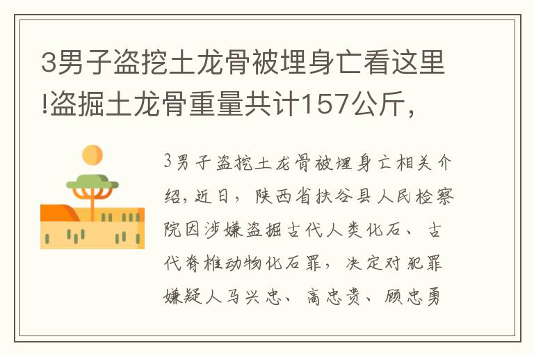 3男子盗挖土龙骨被埋身亡看这里!盗掘土龙骨重量共计157公斤，府谷县检察院对马兴忠等7人批准逮捕