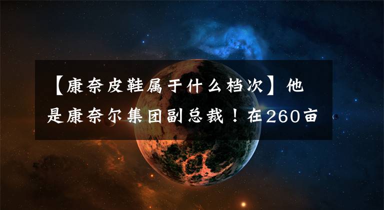【康奈皮鞋属于什么档次】他是康奈尔集团副总裁！在260亩杂草地上建厂，实现产值1亿元。