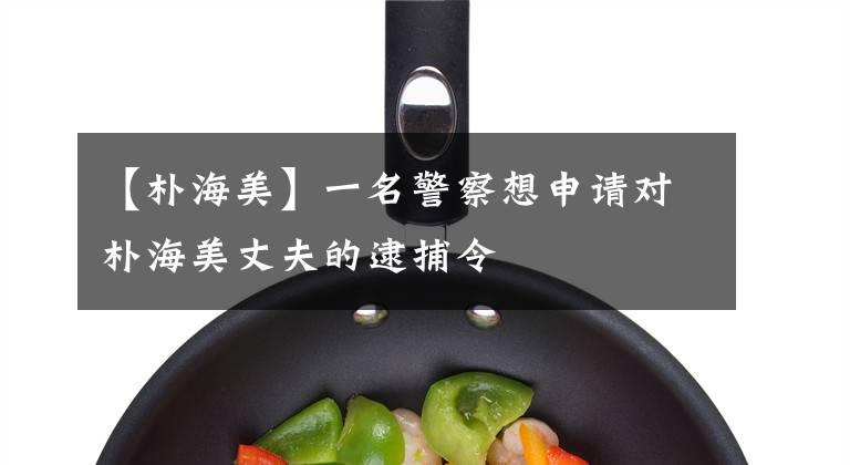 【朴海美】一名警察想申请对朴海美丈夫的逮捕令
