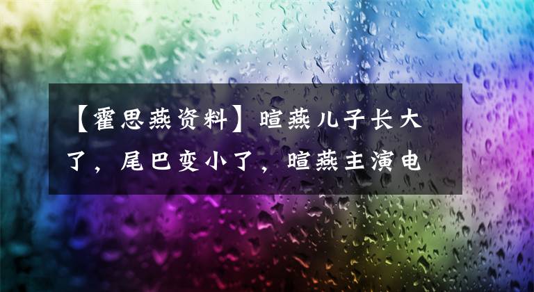 【霍思燕资料】暄燕儿子长大了，尾巴变小了，暄燕主演电视剧《暄燕简介》