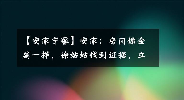 【安家宁馨】安家：房间像金属一样，徐姑姑找到证据，立即暴露了宁神的真面目