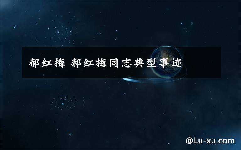 郝红梅 郝红梅同志典型事迹