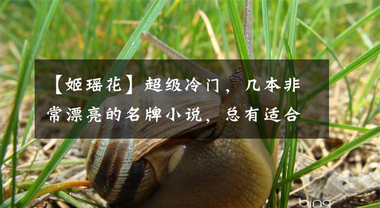 【姬瑶花】超级冷门，几本非常漂亮的名牌小说，总有适合你的。
