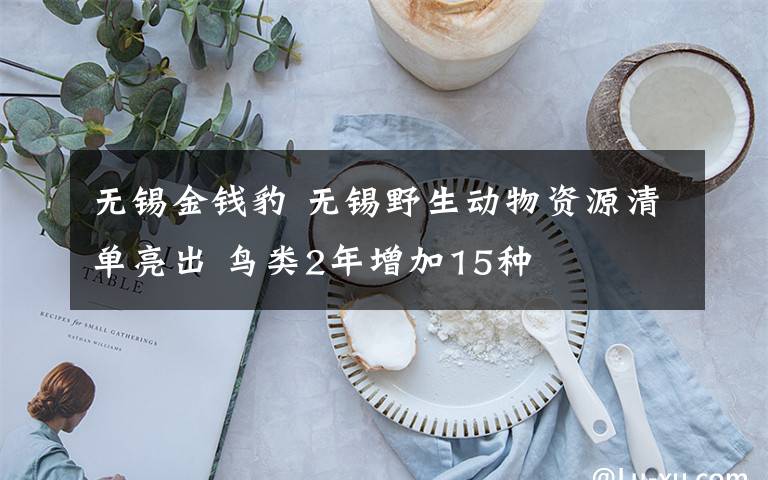无锡金钱豹 无锡野生动物资源清单亮出 鸟类2年增加15种