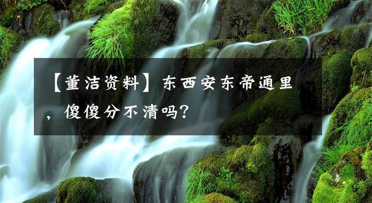 【董洁资料】东西安东帝通里，傻傻分不清吗？